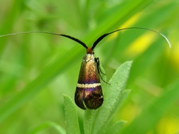 Mai 2013 (Aveyron)