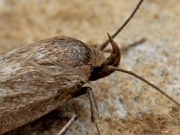 Mai 2013 (Aveyron)