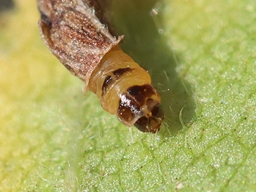 Octobre 2025 (Côtes d'Armor)