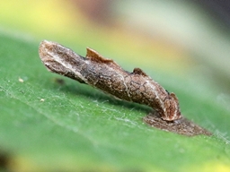 Octobre 2025 (Côtes d'Armor)