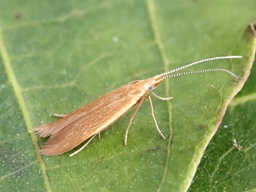 Mai 2025 (Côtes d'Armor)