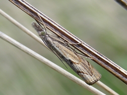 Septembre 2008 (Côtes d'Armor)