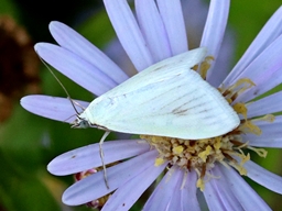 Août 2025 (Côtes d'Armor)