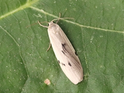 Juillet 2025 (Indre)