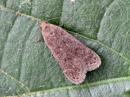 Juillet 2022 (Corrèze)