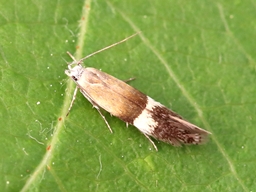 Mai 20225 (Ardèche)