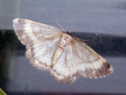 Mai 2013 (Ariège)