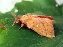 Juillet 2025 (Indre)