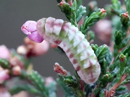 Septembre 2025 (Orne)