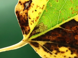 Novembre 2025 (Côtes d'Armor)