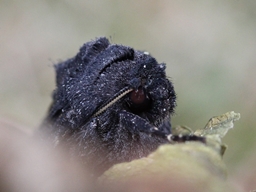 Octobre 2014 (Côtes d'Armor)