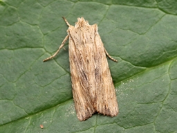 Avril 2025 (Côtes d'Armor)