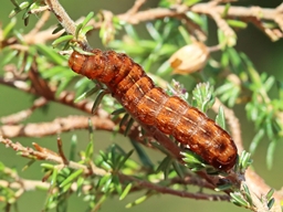 Février 2025 (Côtes d'Armor)