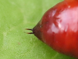 Octobre 2025 (Côtes d'Armor)