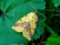 Septembre 2011 (Orne)
