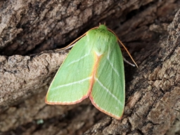 Juillet 2025 (Indre)