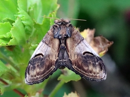 Mars 2025 (Côtes d'Armor)