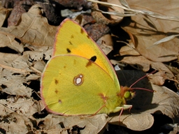 Septembre 2002 (Côtes d'Armor)