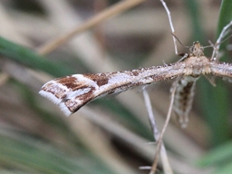 Juin 2016 (Ardèche)