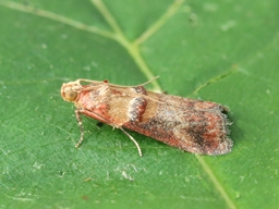 Juillet 2025 (Indre)